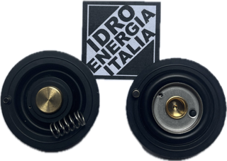 membrana acl nbr 1338601A elettrovalvola acl 1/2 mezzo pollice acl E107D