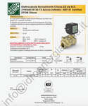 21WA4K1E130-T5 BDA 24VDC elettrovalvola di ricambio adattabile forno ESMACH, certificata NSF, fluidi alimentari,